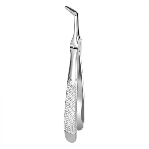 Root Forceps