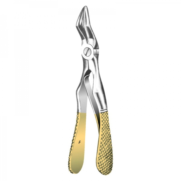 Root Forceps