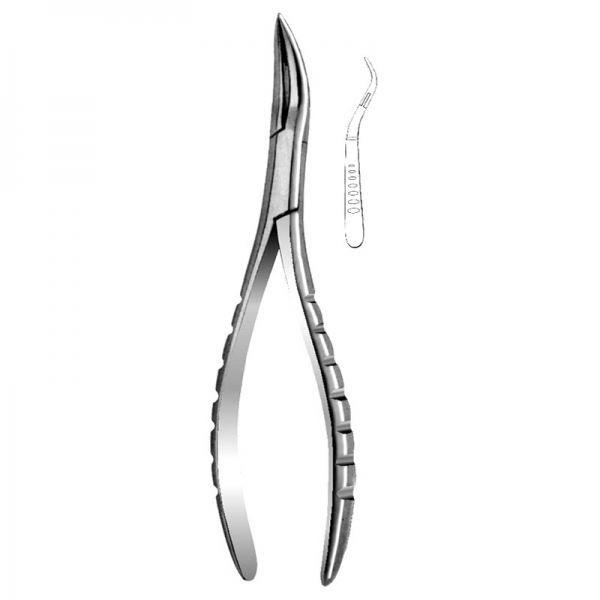 Root Forceps