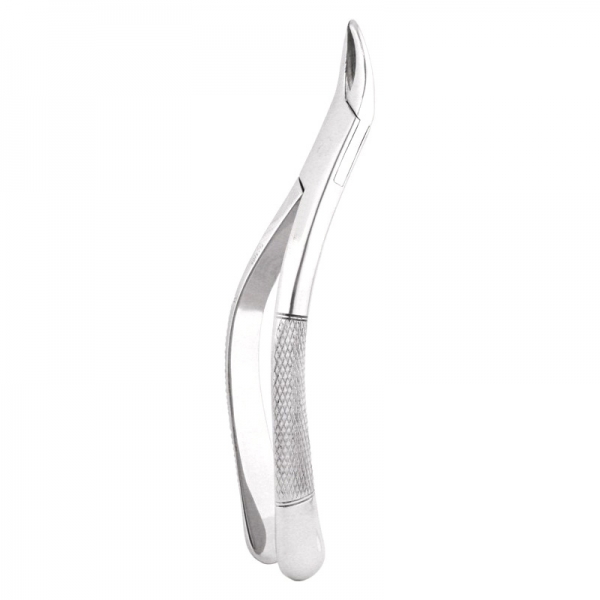 Root Forceps